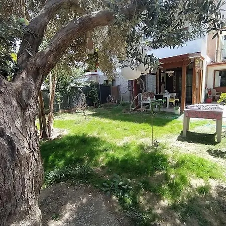 Datca'nin Degerlenen Bolgesi Comarlikta Bahceli Ev Datça
